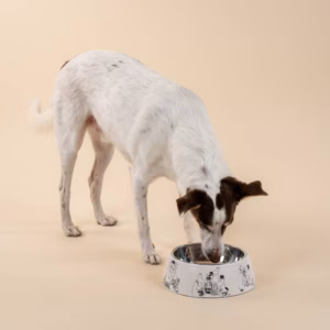 Miseczka Moomin for Pets 80-lecie (L) Muurla