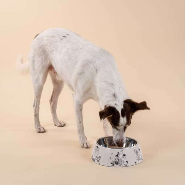 Miseczka Moomin for Pets 80-lecie (L) Muurla